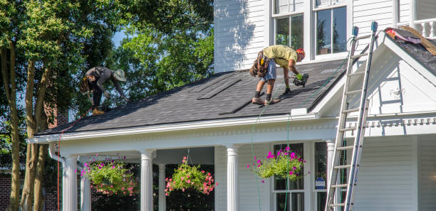 Best Local Roofing Companies  in Reinholds, PA